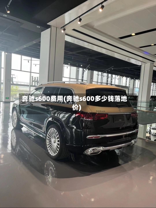奔驰s600费用(奔驰s600多少钱落地价)
