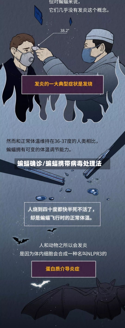 蝙蝠确诊/蝙蝠携带病毒处理法-第3张图片