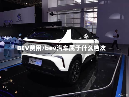 BEV费用/bev汽车属于什么档次