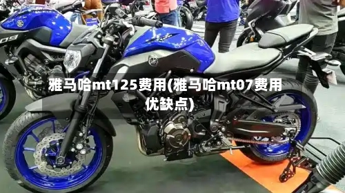 雅马哈mt125费用(雅马哈mt07费用优缺点)-第3张图片