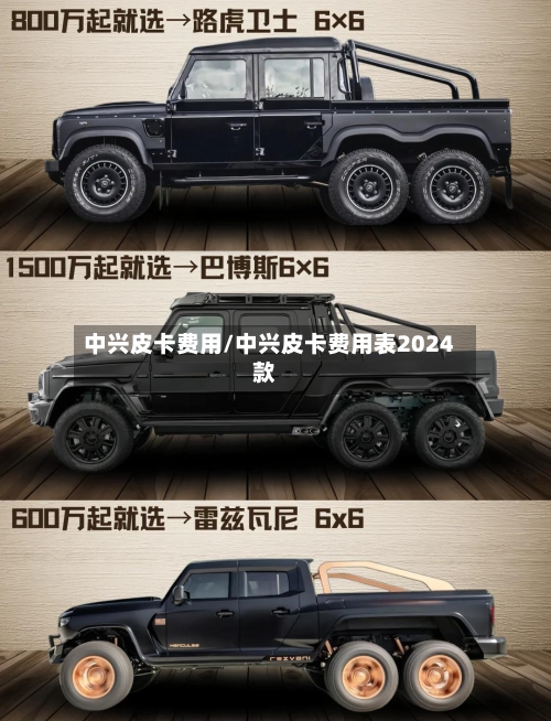 中兴皮卡费用/中兴皮卡费用表2024款-第2张图片