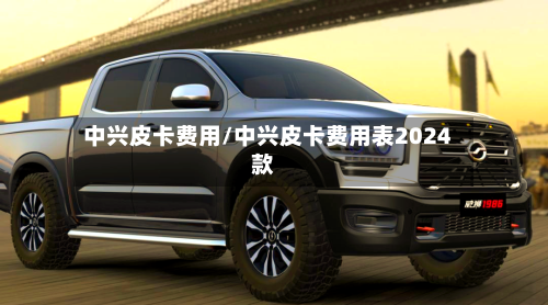 中兴皮卡费用/中兴皮卡费用表2024款-第3张图片