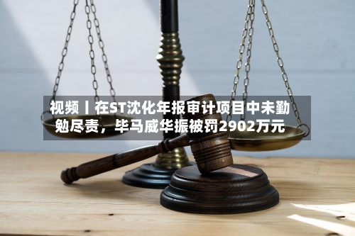 视频丨在ST沈化年报审计项目中未勤勉尽责,毕马威华振被罚2902万元