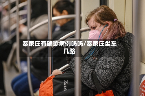 秦家庄有确诊病例吗吗/秦家庄坐车几路-第3张图片
