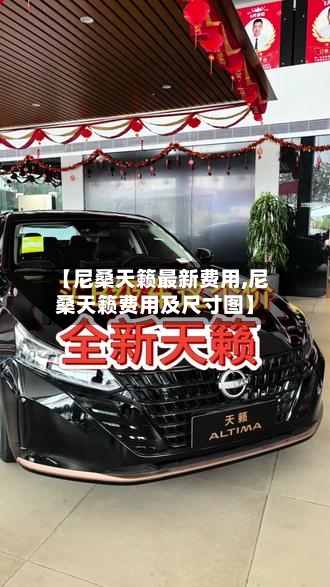 【尼桑天籁最新费用,尼桑天籁费用及尺寸图】-第1张图片