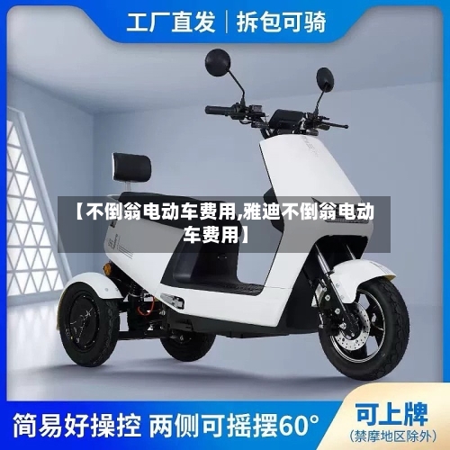 【不倒翁电动车费用,雅迪不倒翁电动车费用】-第1张图片