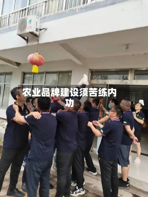 农业品牌建设须苦练内功