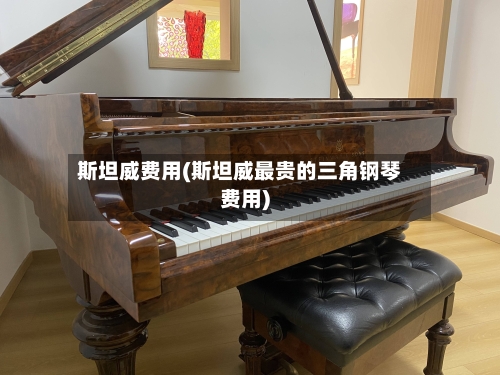 斯坦威费用(斯坦威最贵的三角钢琴费用)-第2张图片
