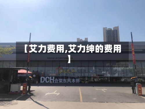 【艾力费用,艾力绅的费用】