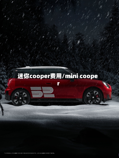 迷你cooper费用/mini cooper