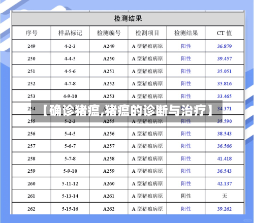 【确诊猪瘟,猪瘟的诊断与治疗】-第3张图片