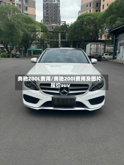 奔驰200L费用/奔驰200l费用及图片报价suv-第3张图片