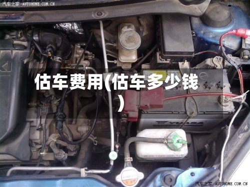 估车费用(估车多少钱)-第2张图片
