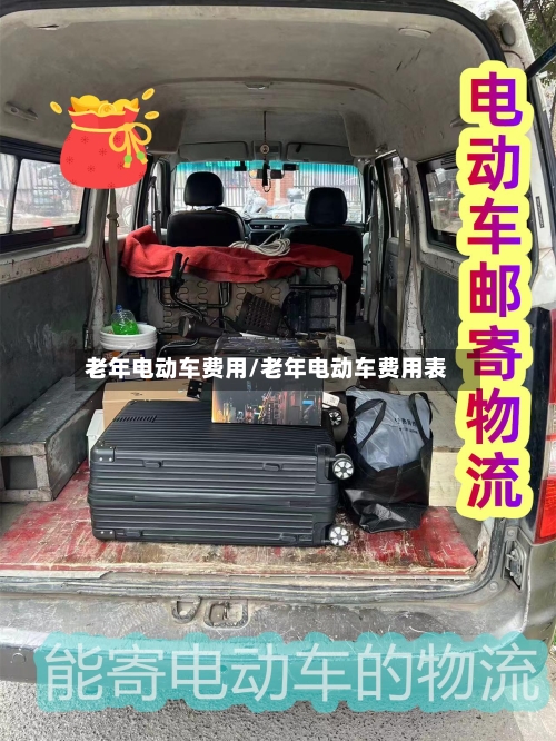 老年电动车费用/老年电动车费用表