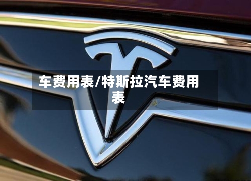车费用表/特斯拉汽车费用表-第2张图片