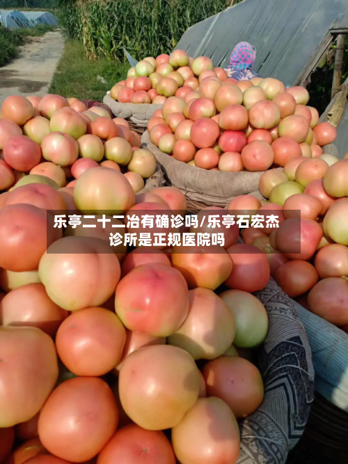 乐亭二十二冶有确诊吗/乐亭石宏杰诊所是正规医院吗