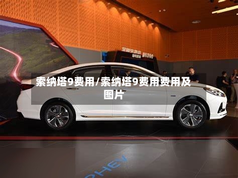 索纳塔9费用/索纳塔9费用费用及图片-第3张图片