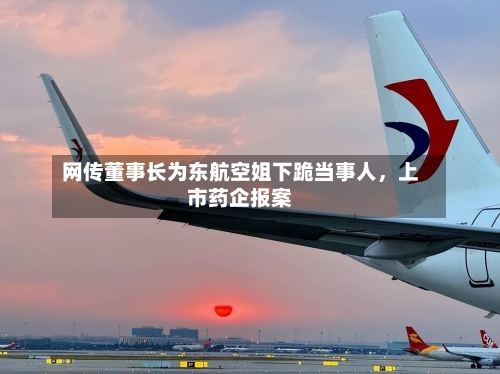 网传董事长为东航空姐下跪当事人，上市药企报案-第3张图片