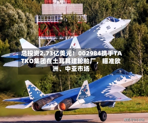 总投资2.73亿美元！002984携手TATKO集团在土耳其建轮胎厂	，瞄准欧洲、中亚市场-第2张图片