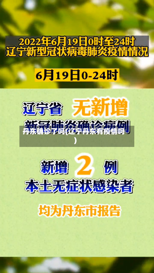 丹东确诊了吗(辽宁丹东有疫情吗)-第2张图片