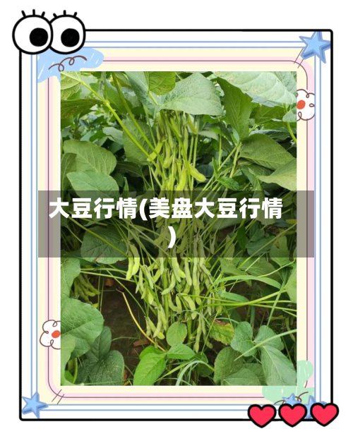 大豆行情(美盘大豆行情)