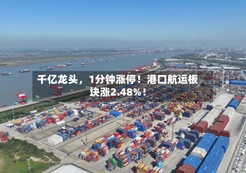 千亿龙头，1分钟涨停！港口航运板块涨2.48%！-第2张图片