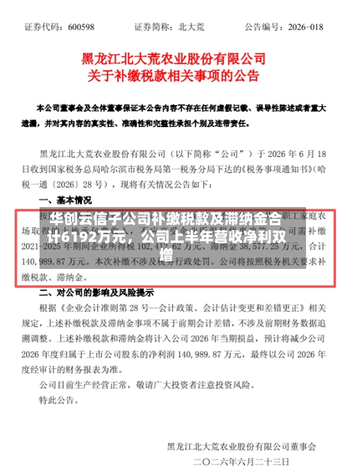 华创云信子公司补缴税款及滞纳金合计6192万元，公司上半年营收净利双增
