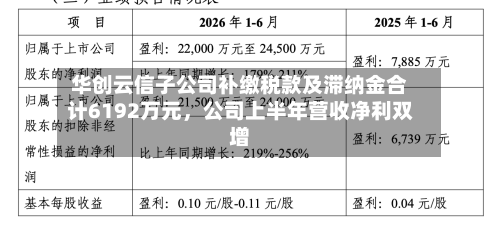 华创云信子公司补缴税款及滞纳金合计6192万元，公司上半年营收净利双增-第2张图片
