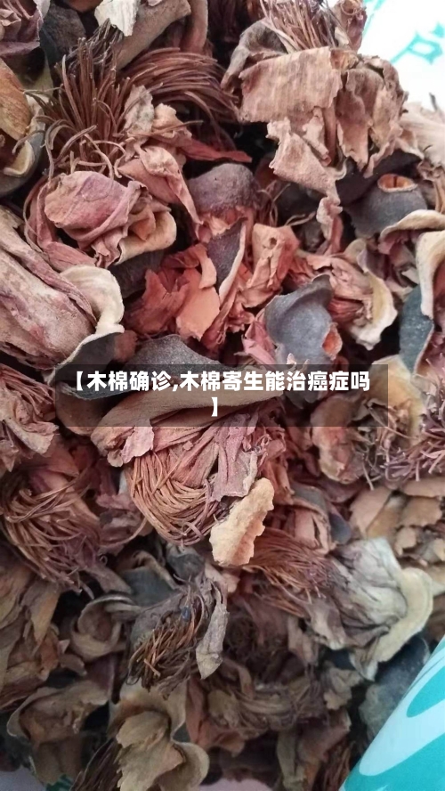 【木棉确诊,木棉寄生能治癌症吗】-第1张图片