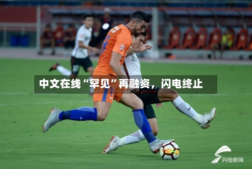 中文在线“罕见”再融资，闪电终止-第3张图片
