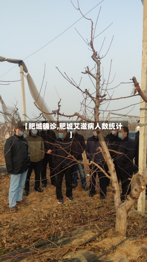 【肥城确诊,肥城艾滋病人数统计】