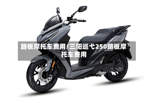 踏板摩托车费用/三阳巡弋250踏板摩托车费用
