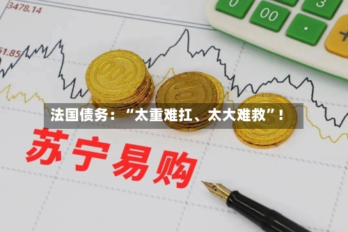 法国债务：“太重难扛、太大难救	”！-第2张图片