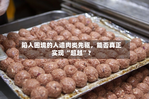 陷入困境的人造肉类先驱	，能否真正实现 “超越	”？-第1张图片