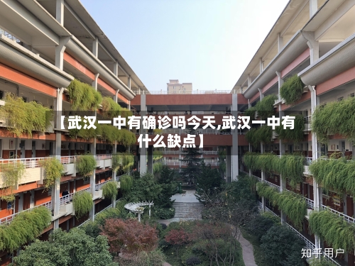 【武汉一中有确诊吗今天,武汉一中有什么缺点】