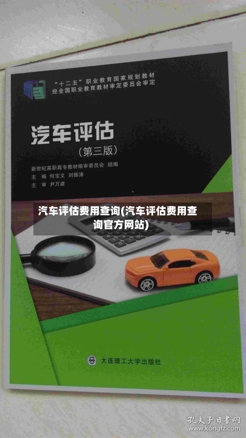 汽车评估费用查询(汽车评估费用查询官方网站)