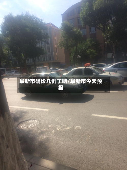 阜新市确诊几例了啊/阜新市今天预报-第3张图片