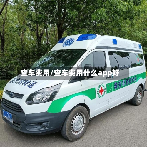 查车费用/查车费用什么app好