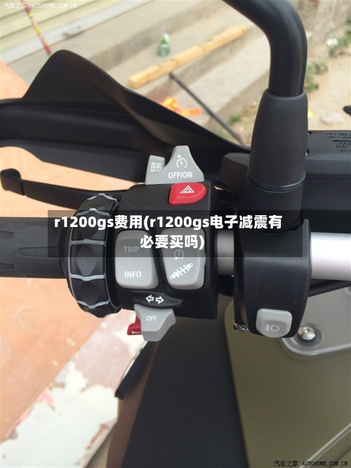 r1200gs费用(r1200gs电子减震有必要买吗)