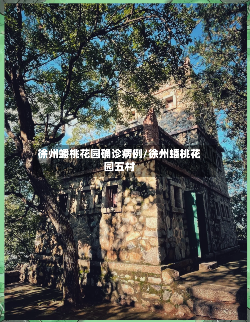 徐州蟠桃花园确诊病例/徐州蟠桃花园五村-第3张图片