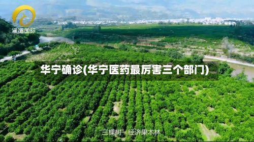 华宁确诊(华宁医药最厉害三个部门)-第2张图片