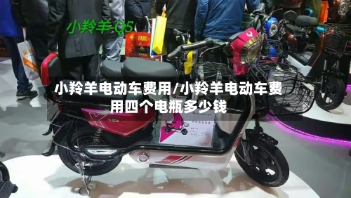 小羚羊电动车费用/小羚羊电动车费用四个电瓶多少钱-第2张图片