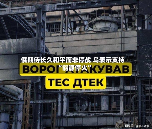 俄期待长久和平而非停战 乌表示支持“能源停火”-第2张图片