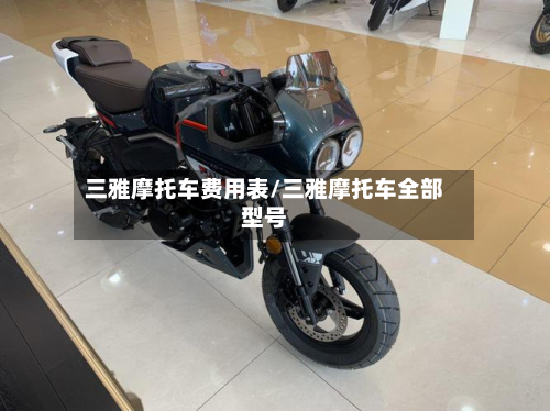 三雅摩托车费用表/三雅摩托车全部型号-第3张图片