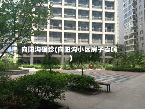 向阳沟确诊(向阳沟小区房子卖吗)-第3张图片