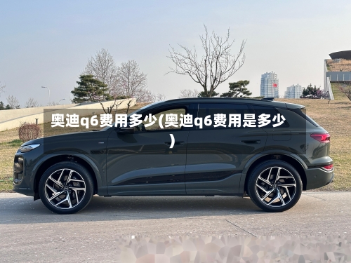 奥迪q6费用多少(奥迪q6费用是多少)-第2张图片