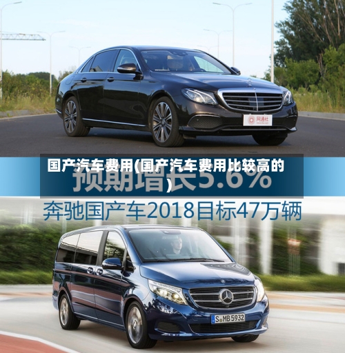 国产汽车费用(国产汽车费用比较高的)