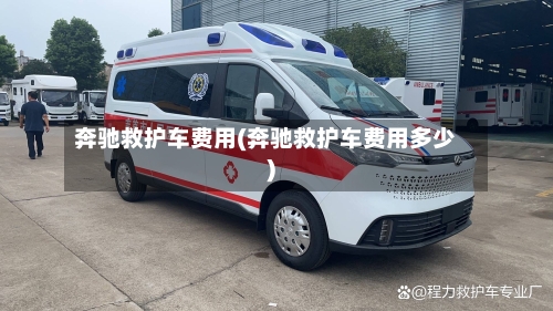 奔驰救护车费用(奔驰救护车费用多少)-第2张图片