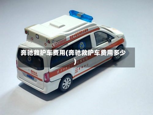 奔驰救护车费用(奔驰救护车费用多少)