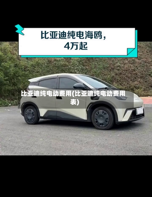 比亚迪纯电动费用(比亚迪纯电动费用表)